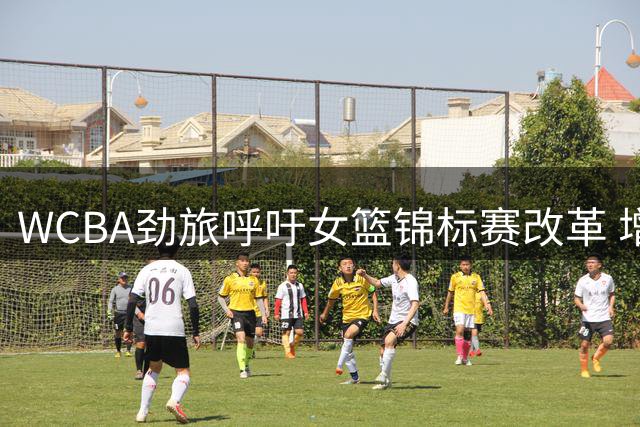 WCBA劲旅呼吁女篮锦标赛改革 增设转会注册窗口期破困局